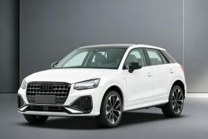 PetrolGasoline Cars