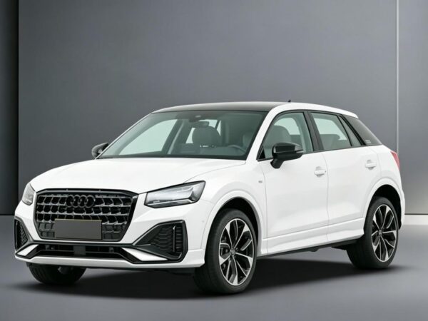PetrolGasoline Cars