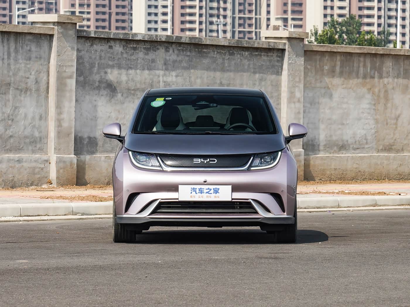 BYD Dolphin Image 2